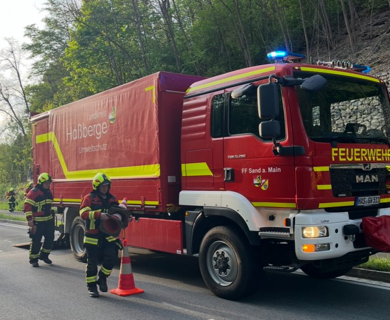 Einsatz – 12.06.2025 – THL1 – Oberschleichach