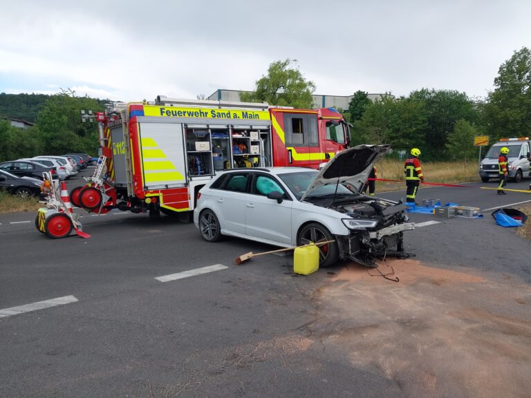 Einsatz – 07.072025 – THL1 – Sand