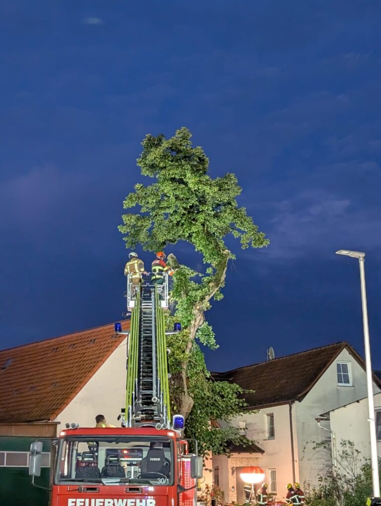 EINSATZ – 01.08.2025 – THL1 – Sand