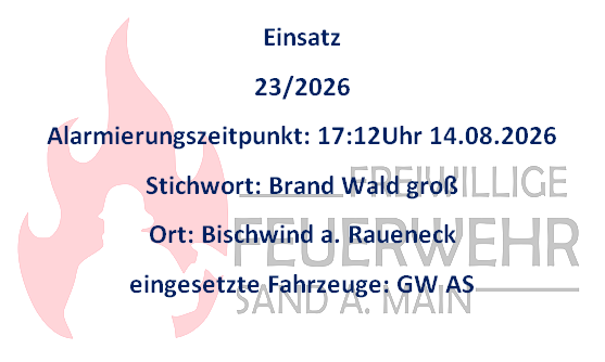 Einsatz 14.08.2026 B Brand Wald groß